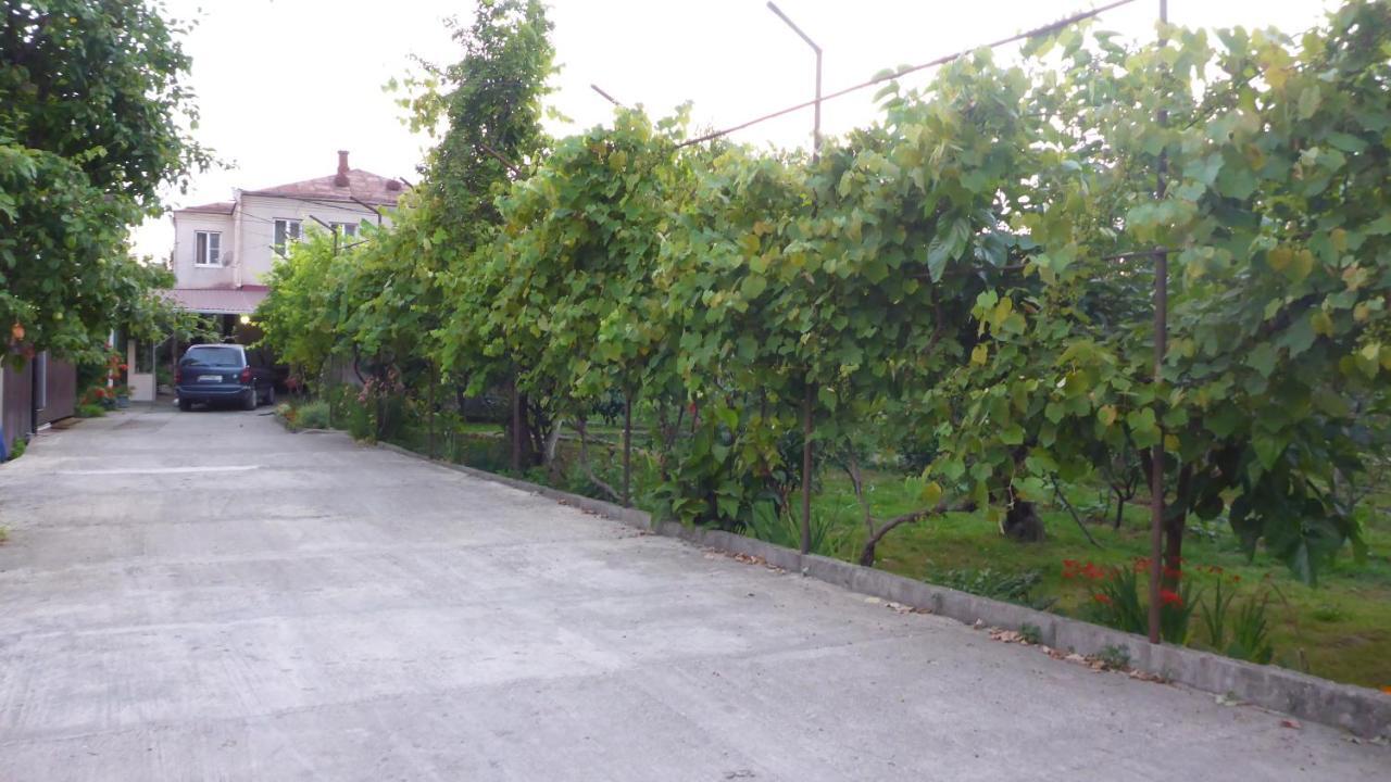 Guest House U Aleny Gagra Kültér fotó